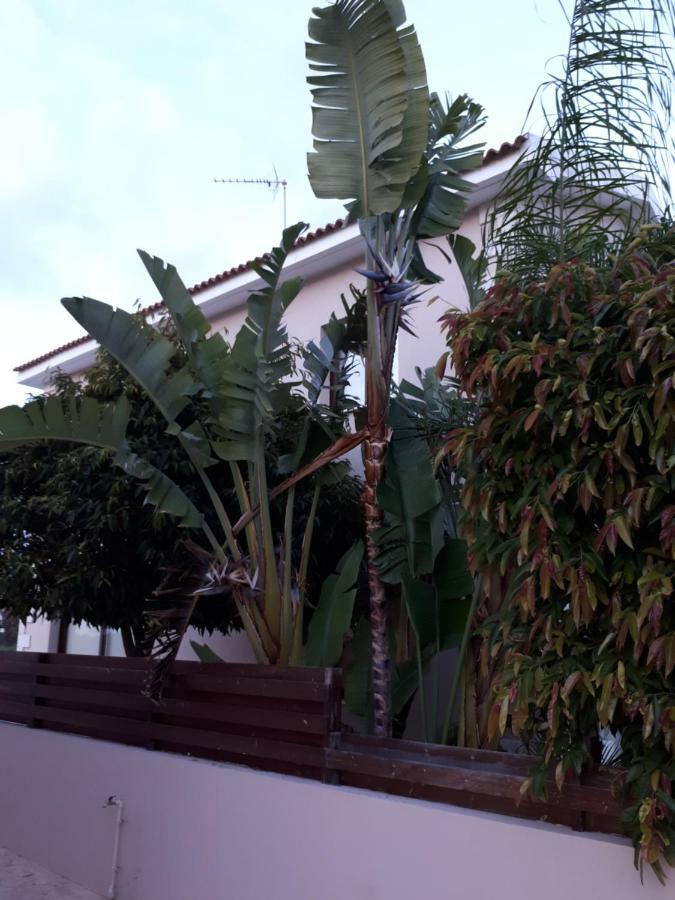 Marias Villa Protaras Exterior foto